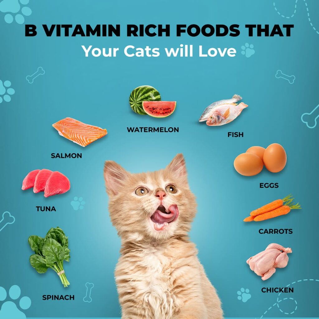 گربه‌ ها به چه ویتامین‌ هایی نیاز دارند