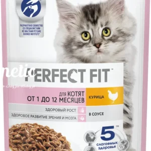 پوچ بچه گربه پرفکت فیت مرغ داخل سس