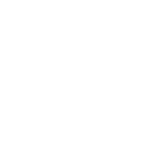 حیوان خانگی من